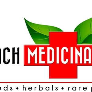 Semillas de plátano salino (Plantago eriopoda) Paquete de 20 Semillas Semillas de plátano salino (Plantago eriopoda) Paquete de 20 Semillas