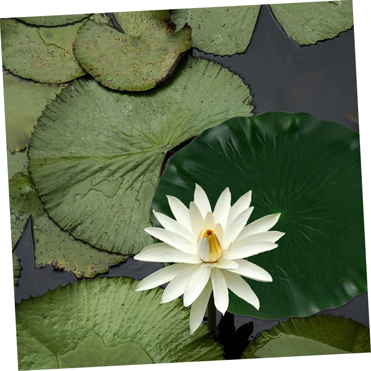 VOSAREA Hojas de loto artificiales, 3 piezas, regadera de hoja de loto simulada para interiores, plantas de aire sintéticas, decoración de follaje,