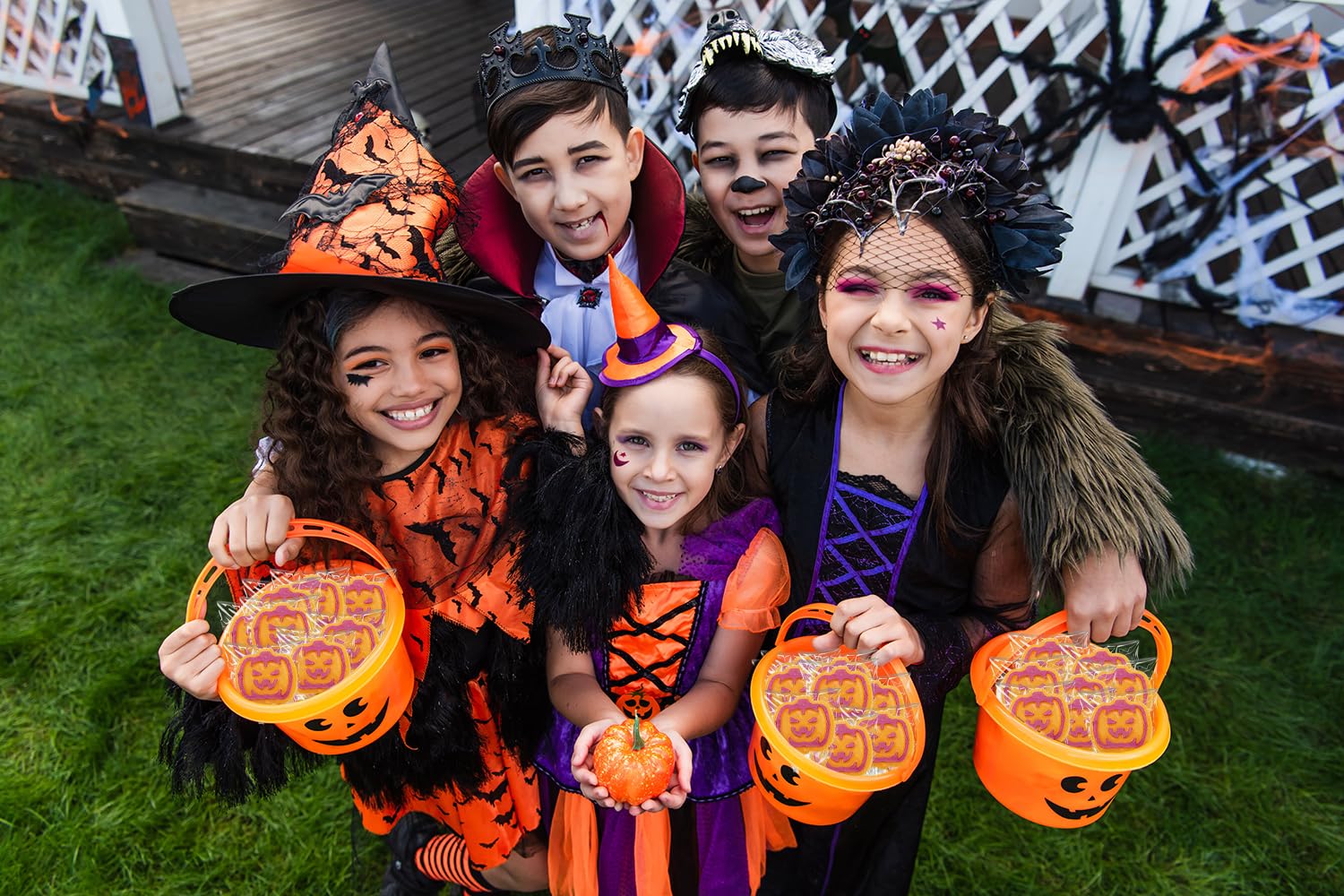 Caramelos de paletas de tatuaje de calabaza naranja, ideal para rellenos de bolsas de fiesta, envueltos individualmente (media libra)