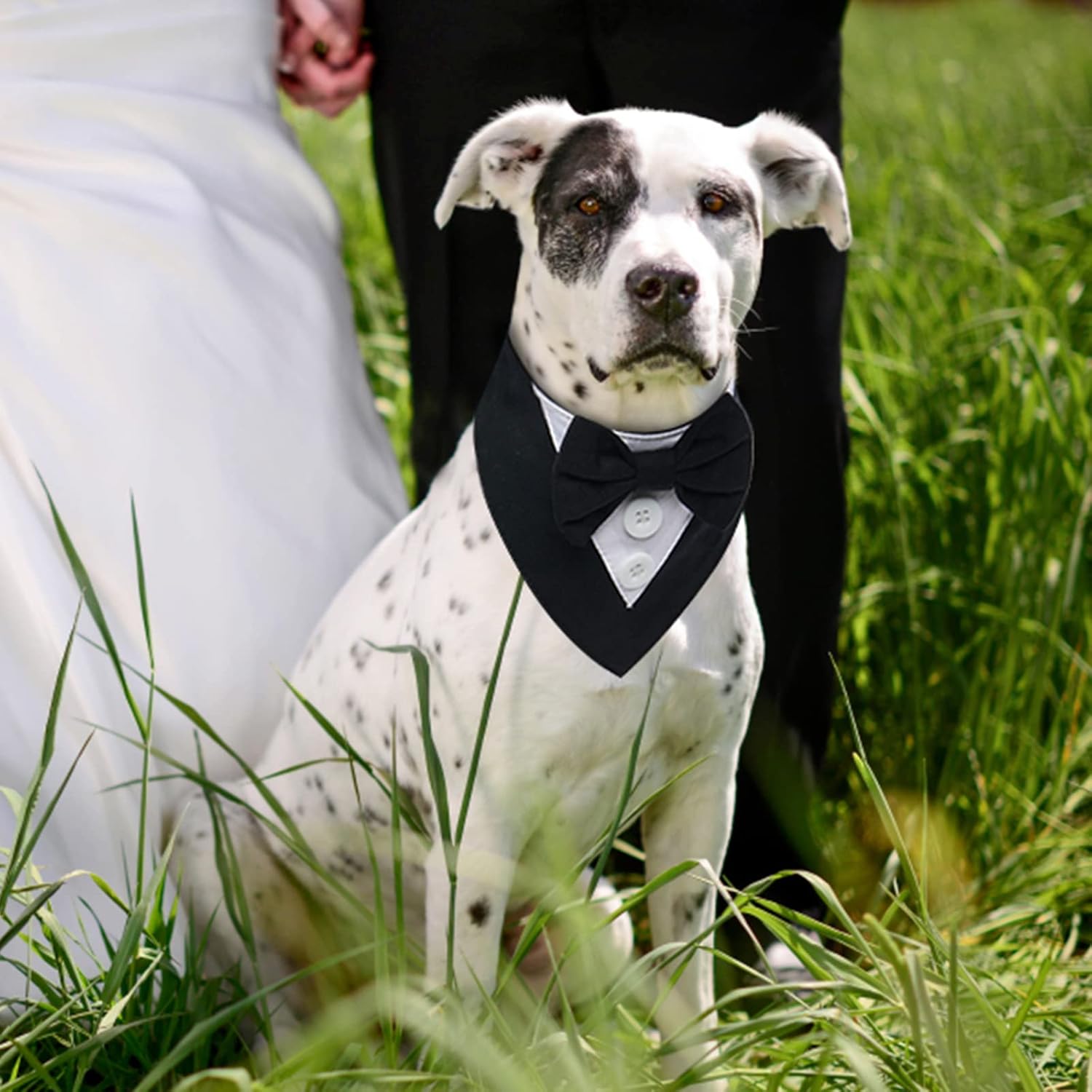 FUAMEY Esmoquin para perro, bandana formal de boda para perro, collar de perro con pajarita, disfraz de cumpleaños para perro, disfraz de cumpleaños