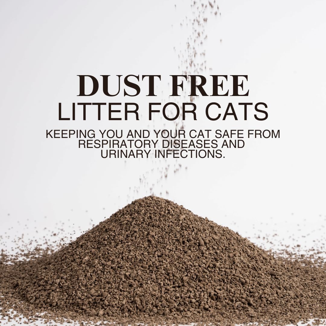 Arena natural para gatos de posos de café reciclado, alternativa a la arena de arcilla y pellets, arena para gatos sin perfume, arena ligera,