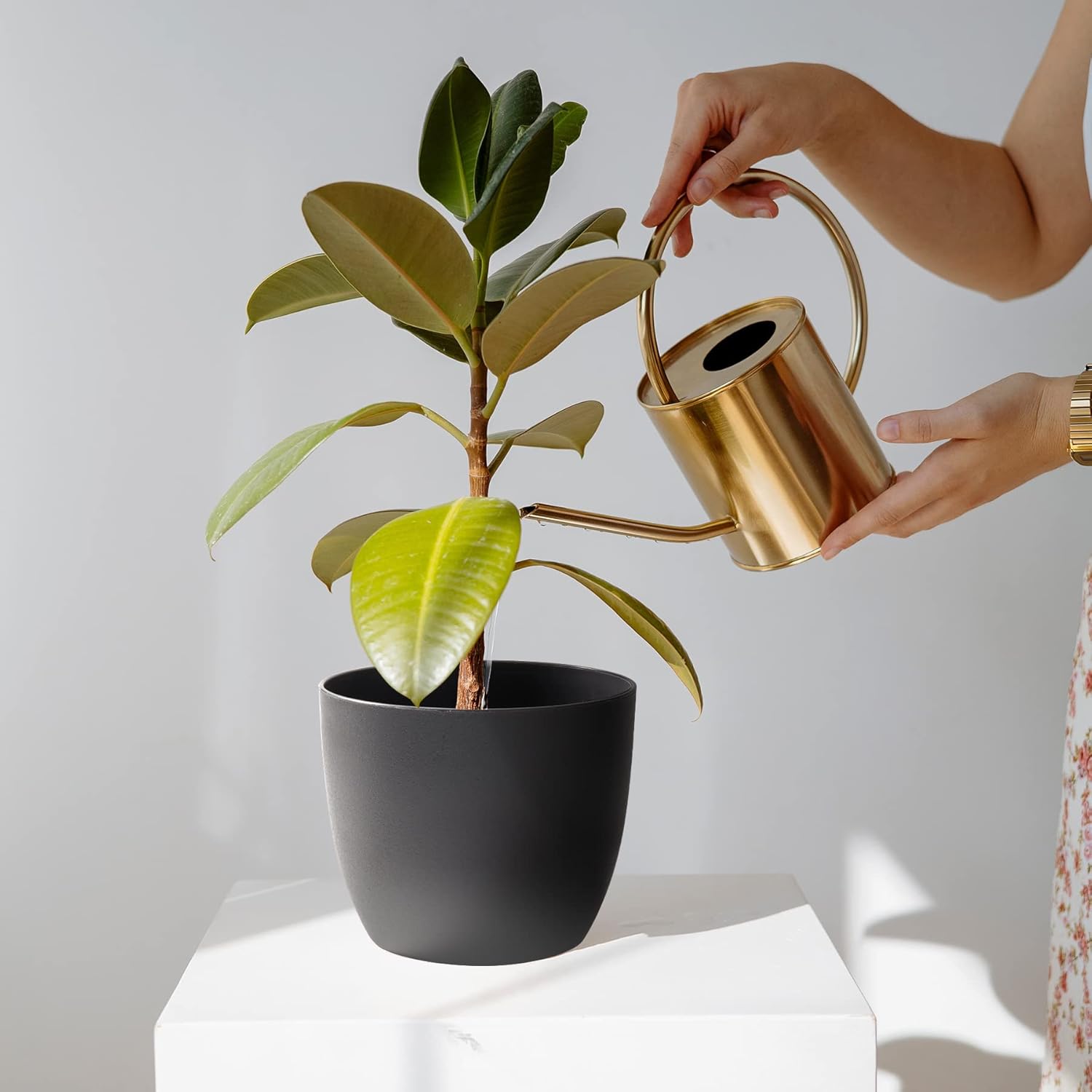 T4U – Macetero de plástico con autorregado, macetero moderno y decorativo para todas las plantas de la casa, flores, hierbas, violetas, suculentas