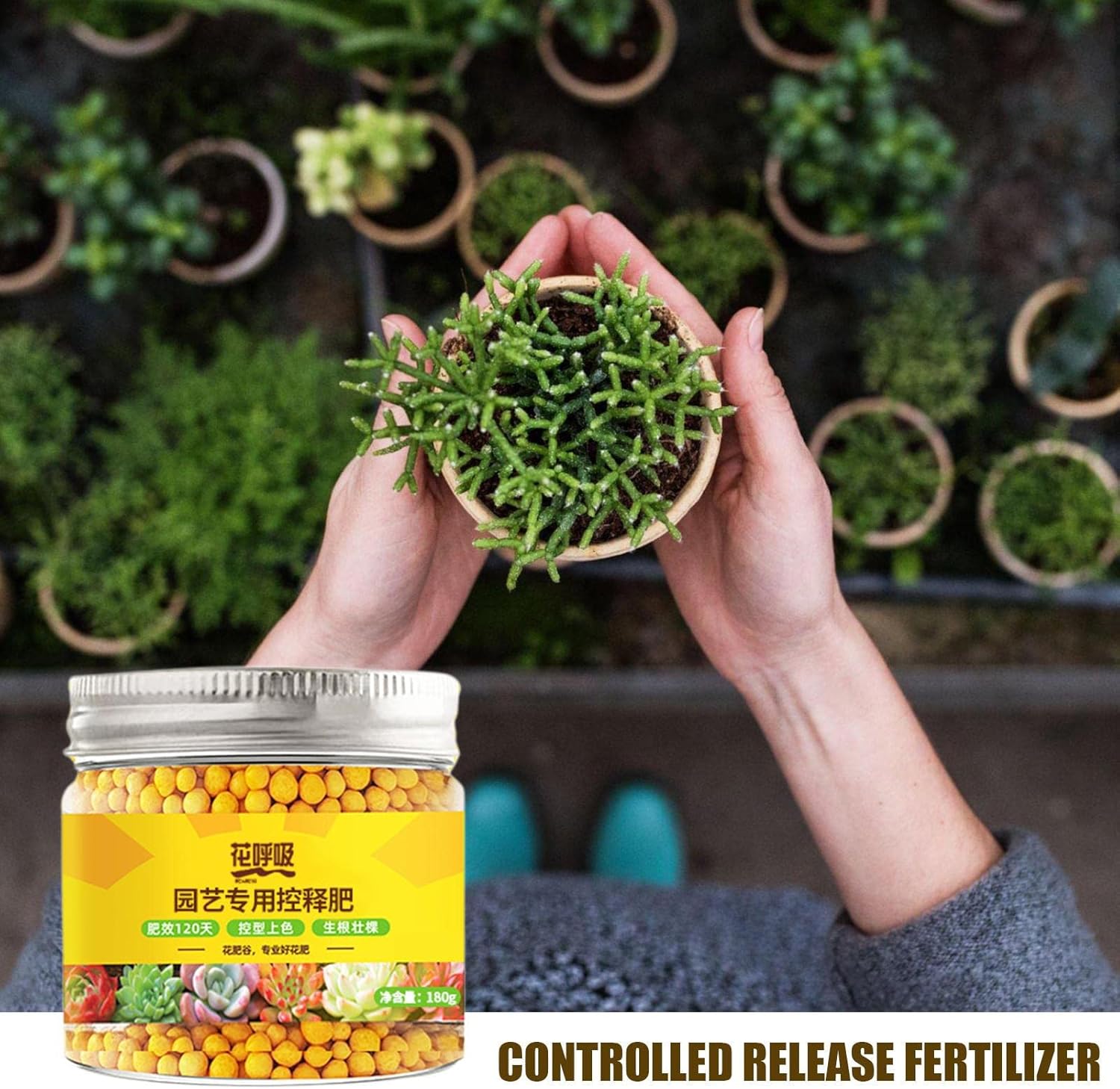 Plumeria Fertilizer  Fertilizante de mirto crepé – Fertilizante para árboles con elementos medios y oligoelementos, adecuado para todas las etapas