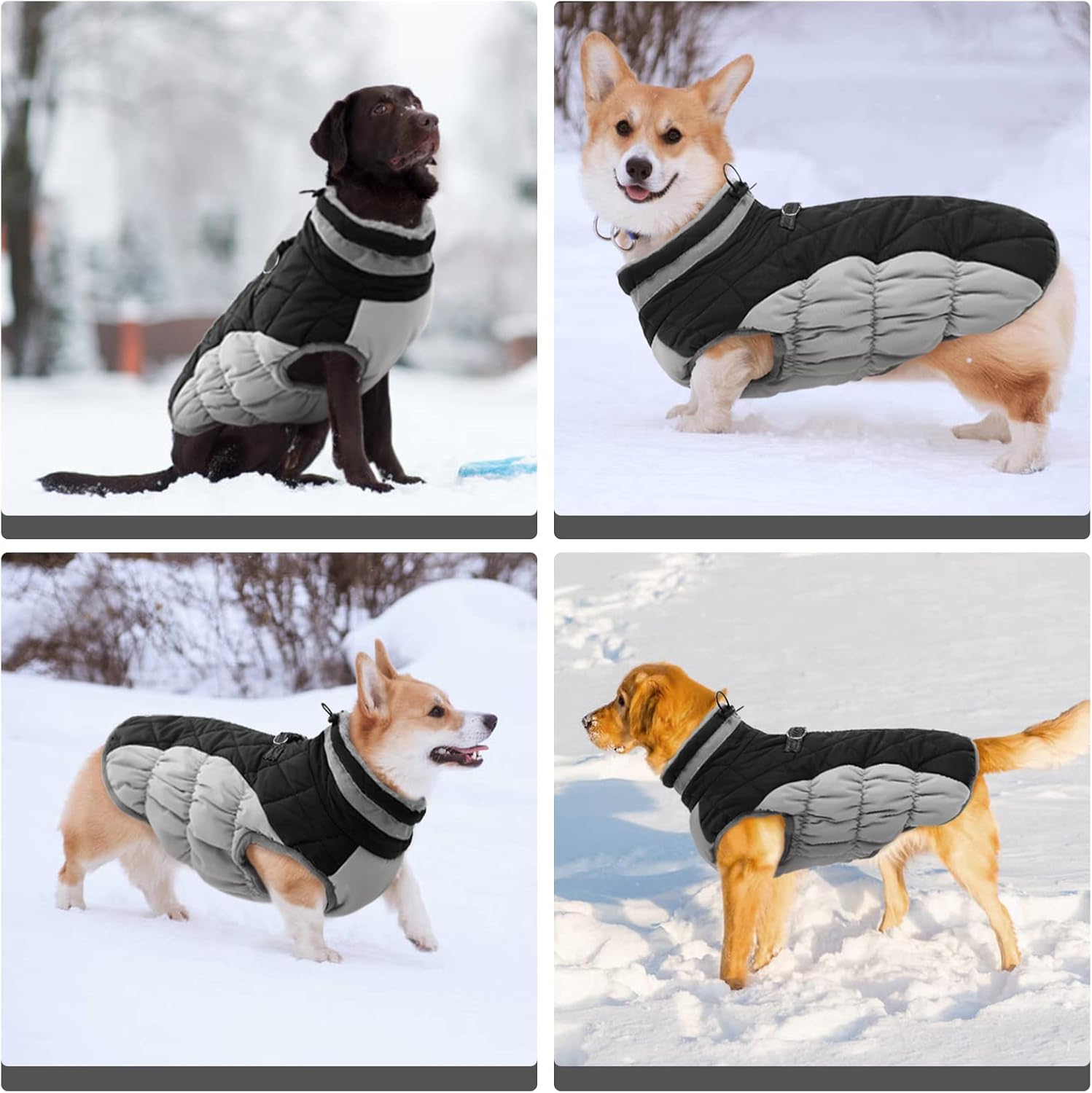 FUAMEY Chaleco acolchado para perro, abrigo reflectante de invierno para perro, chaqueta de invierno cálida a prueba de viento, ropa cómoda para
