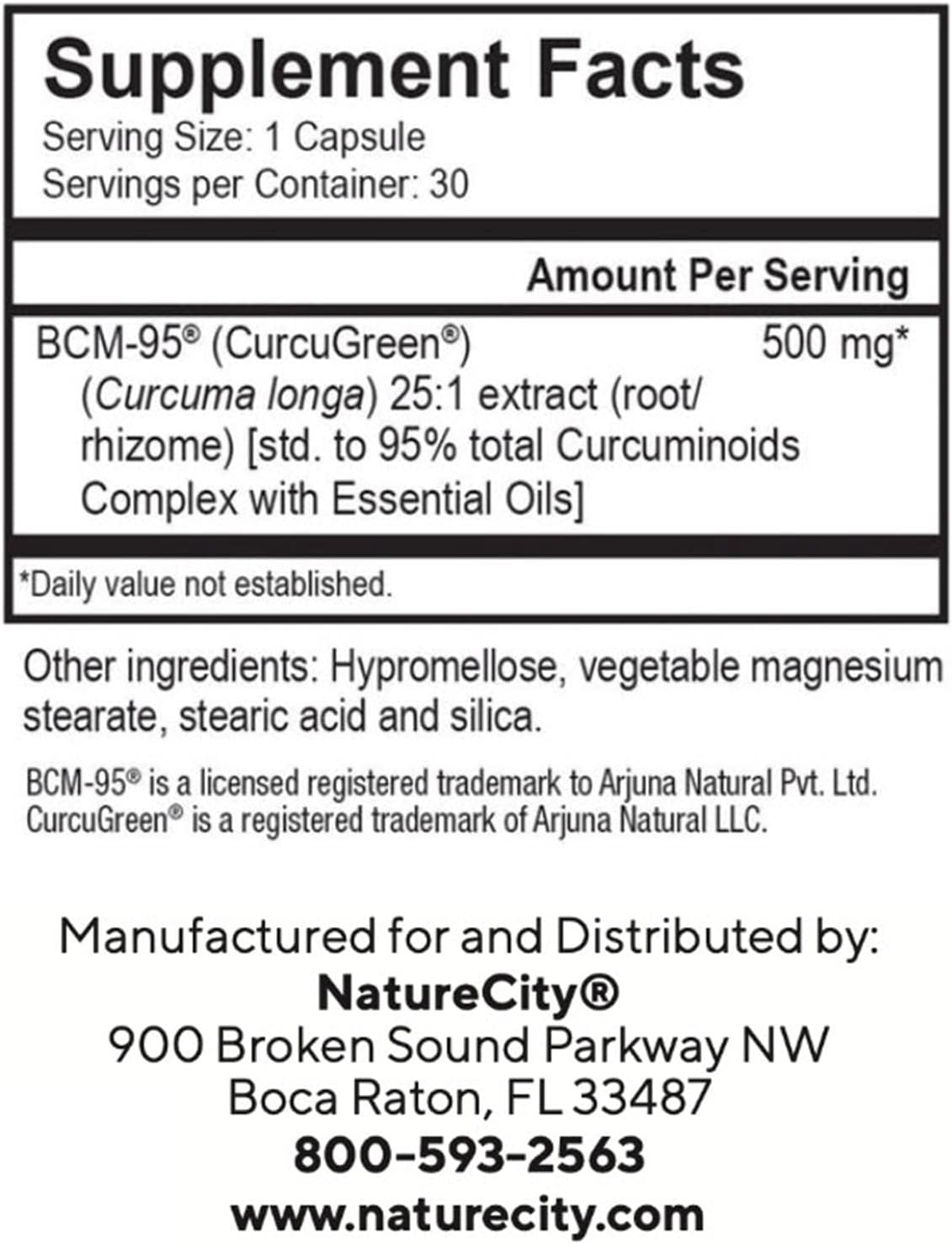 True-Curcumina con 500 mg de curcumina BCM-95 altamente absorbente + aceite esencial de cúrcuma que proporciona hasta 7 veces mejor absorción, apoya