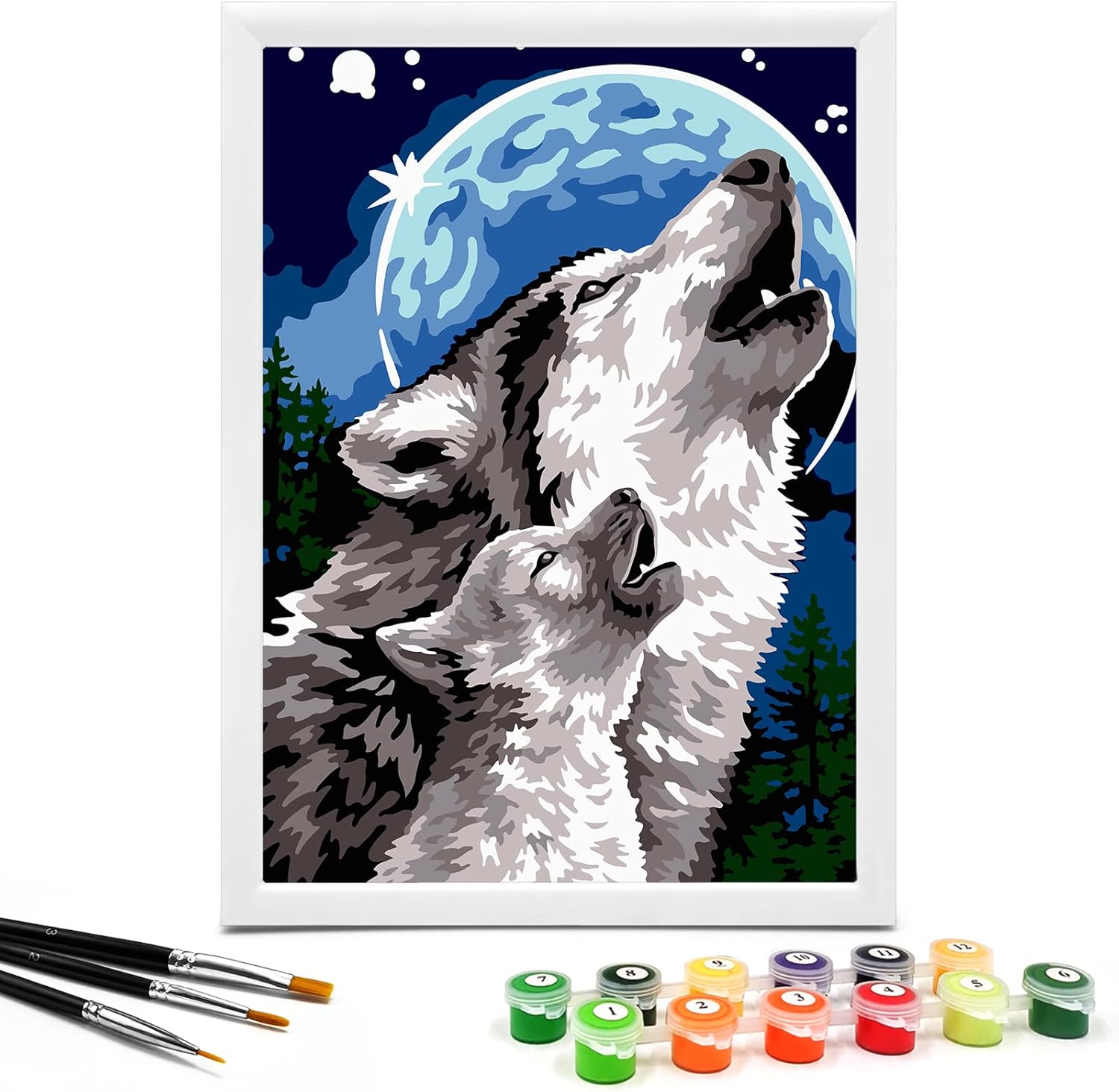 Nariolar Pintura por números para niños de 8 a 12 años con cartón preimpreso de 7 x 9.5 pulgadas, 12 macetas de pintura acrílica y 3 pinceles de