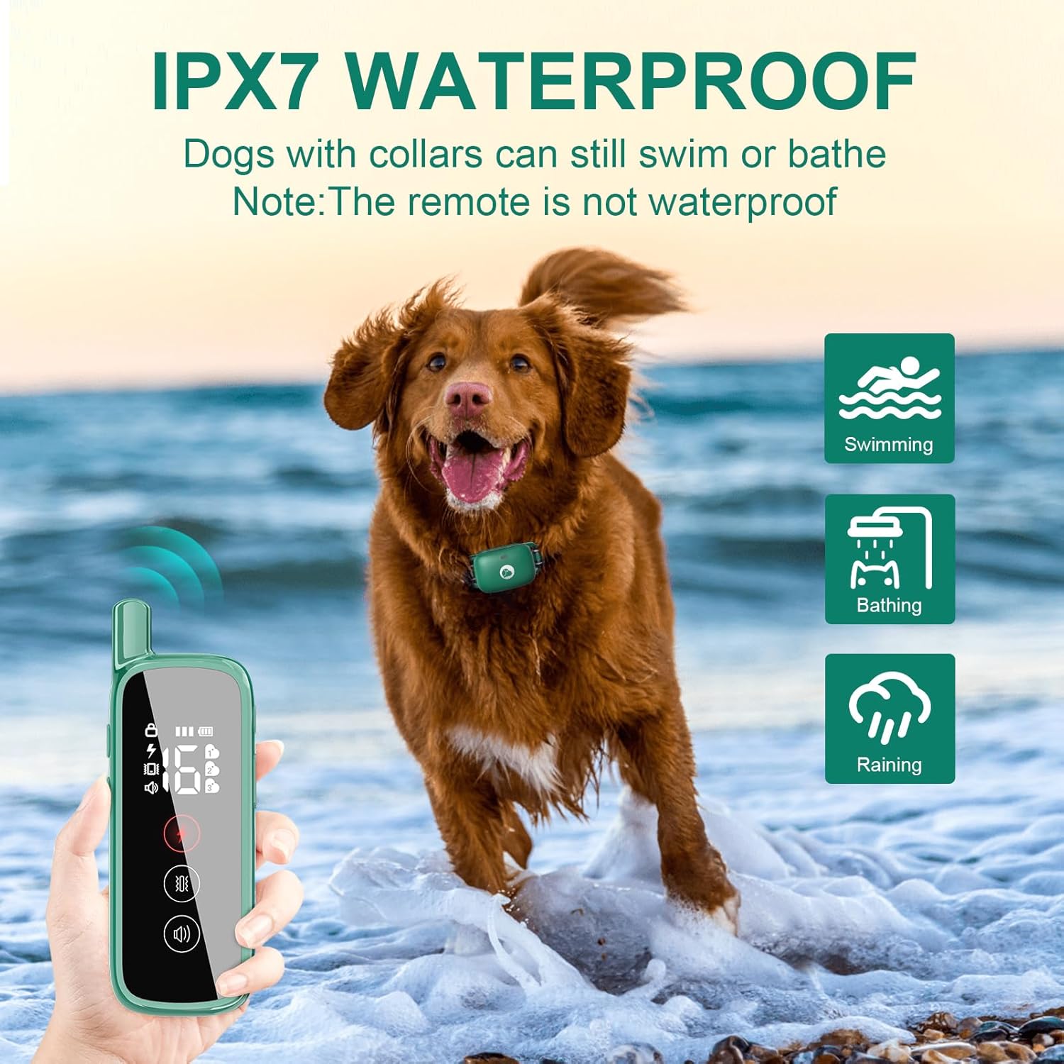 Collar de entrenamiento para perros, collar de choque para perros con bloqueo de seguridad, collar electrónico impermeable con control remoto de