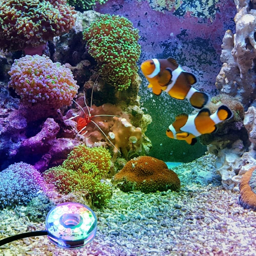MiOYOOW Luz LED para acuario, luz LED sumergible colorida impermeable USB luz subacuática para acuario pecera