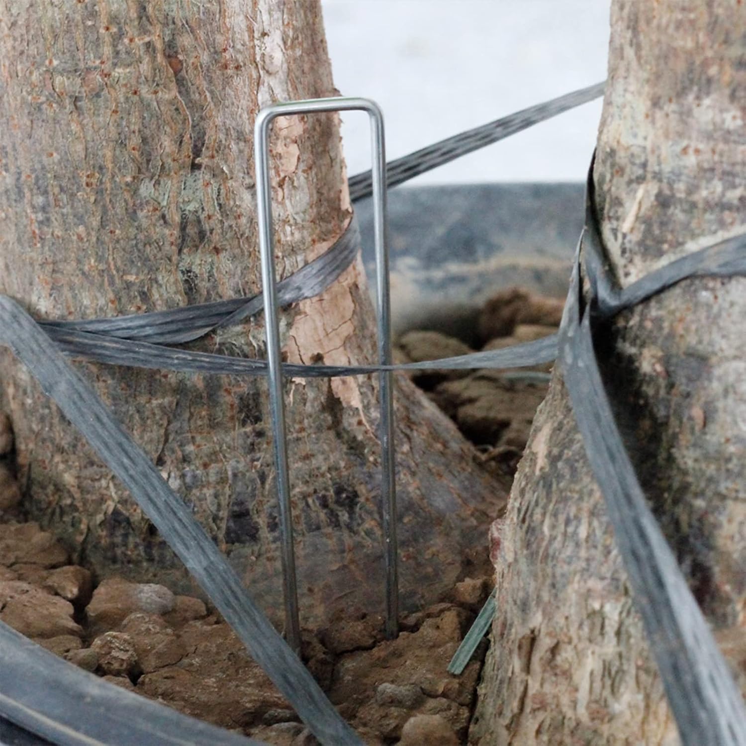 100 estacas de jardín galvanizadas de 12 pulgadas, estacas en forma de U, grapas de jardín resistentes y barrera de malezas, red de paisaje, valla
