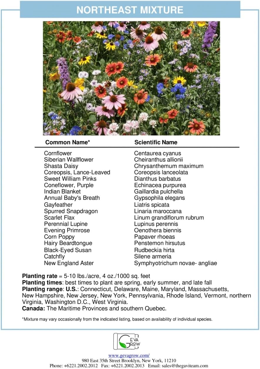 Bulk Regional Wildflower Seed Tub – Semillas de flores silvestres del noreste orgánicas, sin OMG, 100% semillas puras, 21 variedades de semillas,