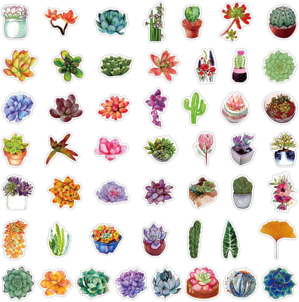 100 calcomanías para suculentas, calcomanías de plantas de cactus verdes, de vinilo, impermeables, para adolescentes, adultos, diario, botella de