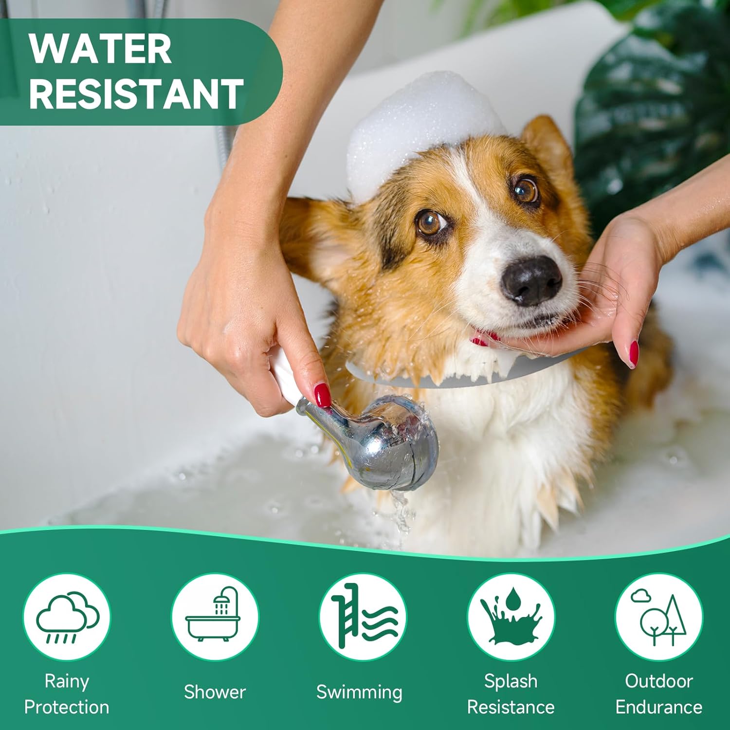Paquete de 4 collares antipulgas para perros, tratamiento de pulgas y garrapatas de perro, 8 meses de protección contra pulgas y garrapatas para