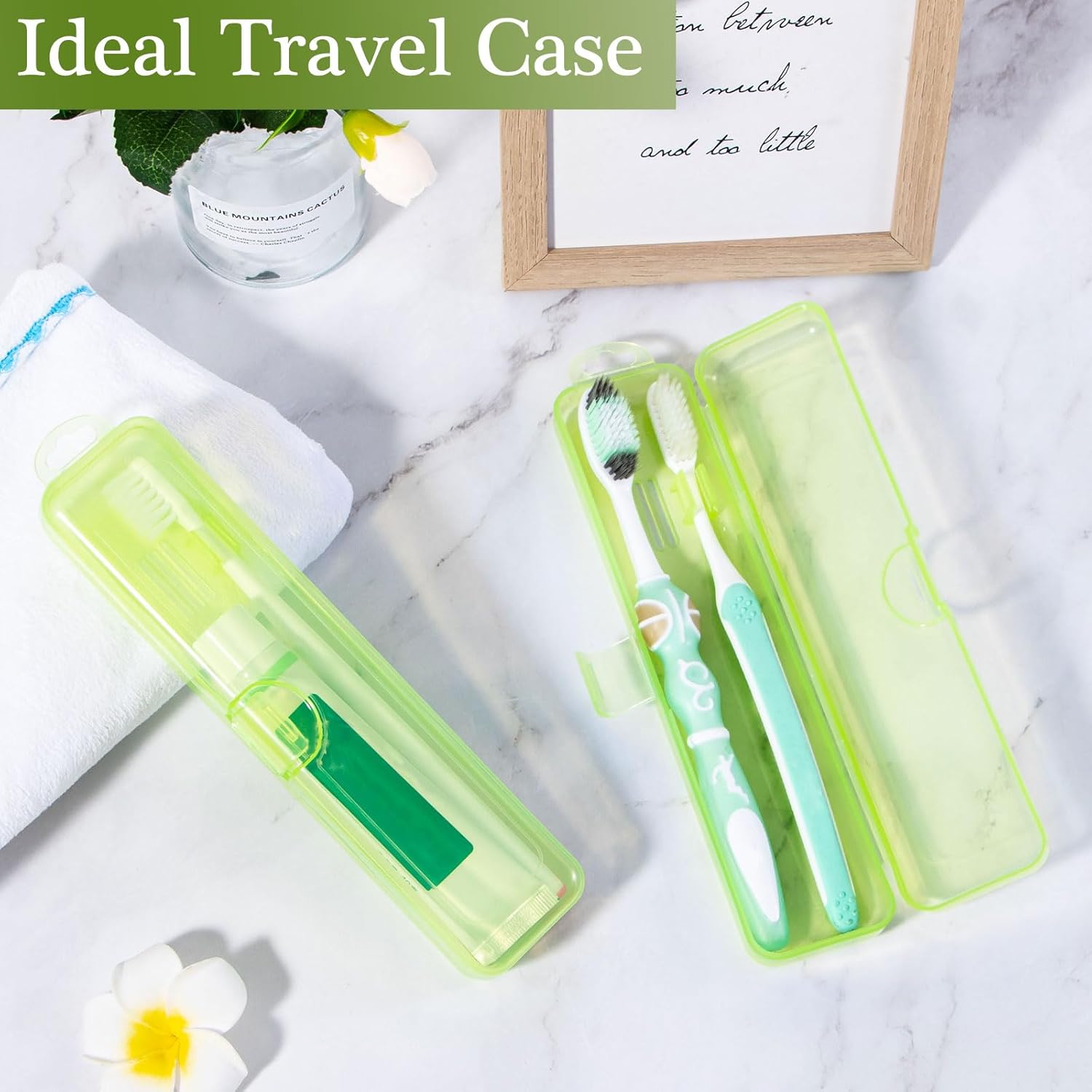 Paquete de 2 fundas para cepillos de dientes, estuche de viaje para cepillos de dientes verde transparente, tamaño de viaje, soporte de plástico