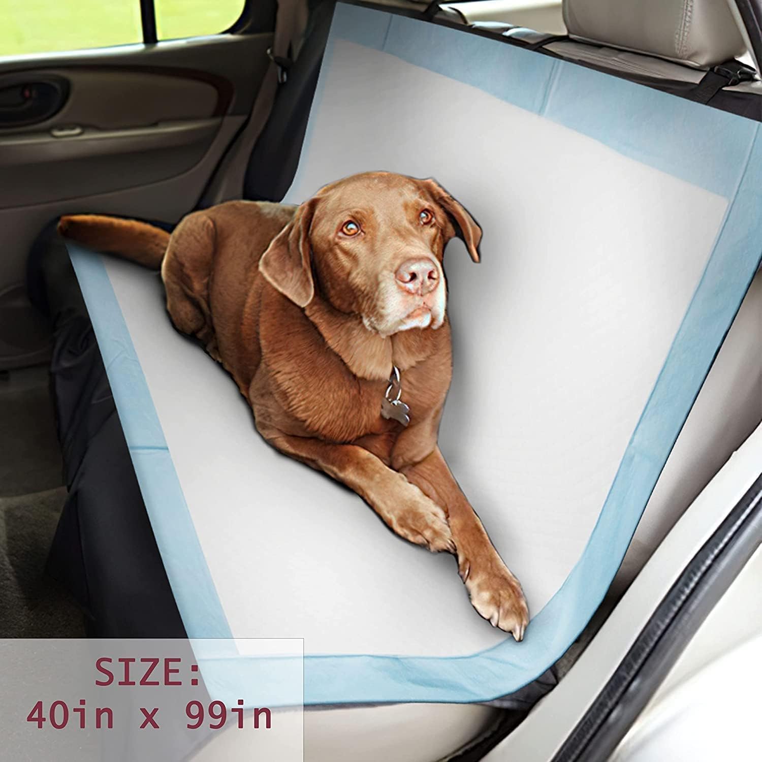PETSWORLD Almohadillas para orinar de perro de gran tamaño (40 x 99 pulgadas), almohadillas gigantes 4XL para entrenamiento de cachorros,
