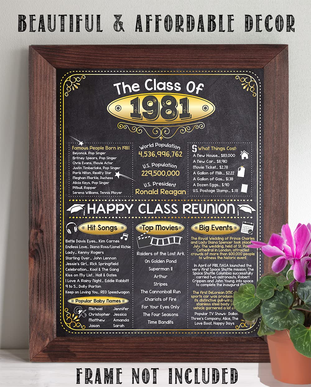 43rd High School Class Reunion (Forty-three) – Remembering The Year 1981 – Perfect Reunion Party Decoration – 11×14 Unframed Print