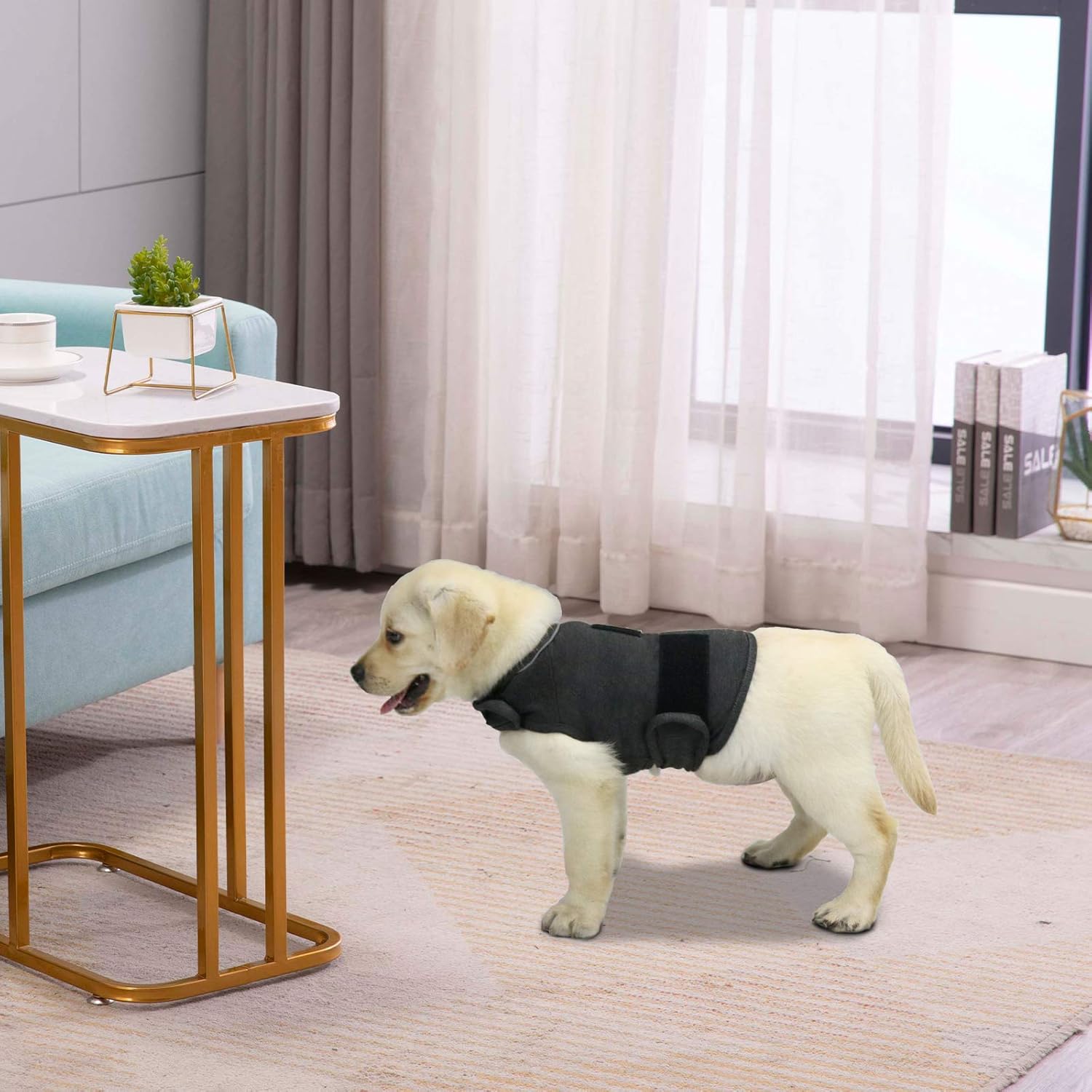 Abrigo cómodo para aliviar la ansiedad del perro, chaleco calmante para tormentas eléctricas, viajes, fuegos artificiales, visitas al veterinario,