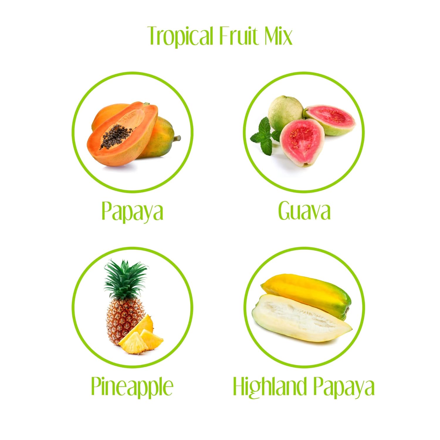 Jego Mezcla de frutas tropicales en almíbar, 14 onzas (paquete de 6)  Piña, papaya, guayaba, papaya de las tierras altas, sin gluten