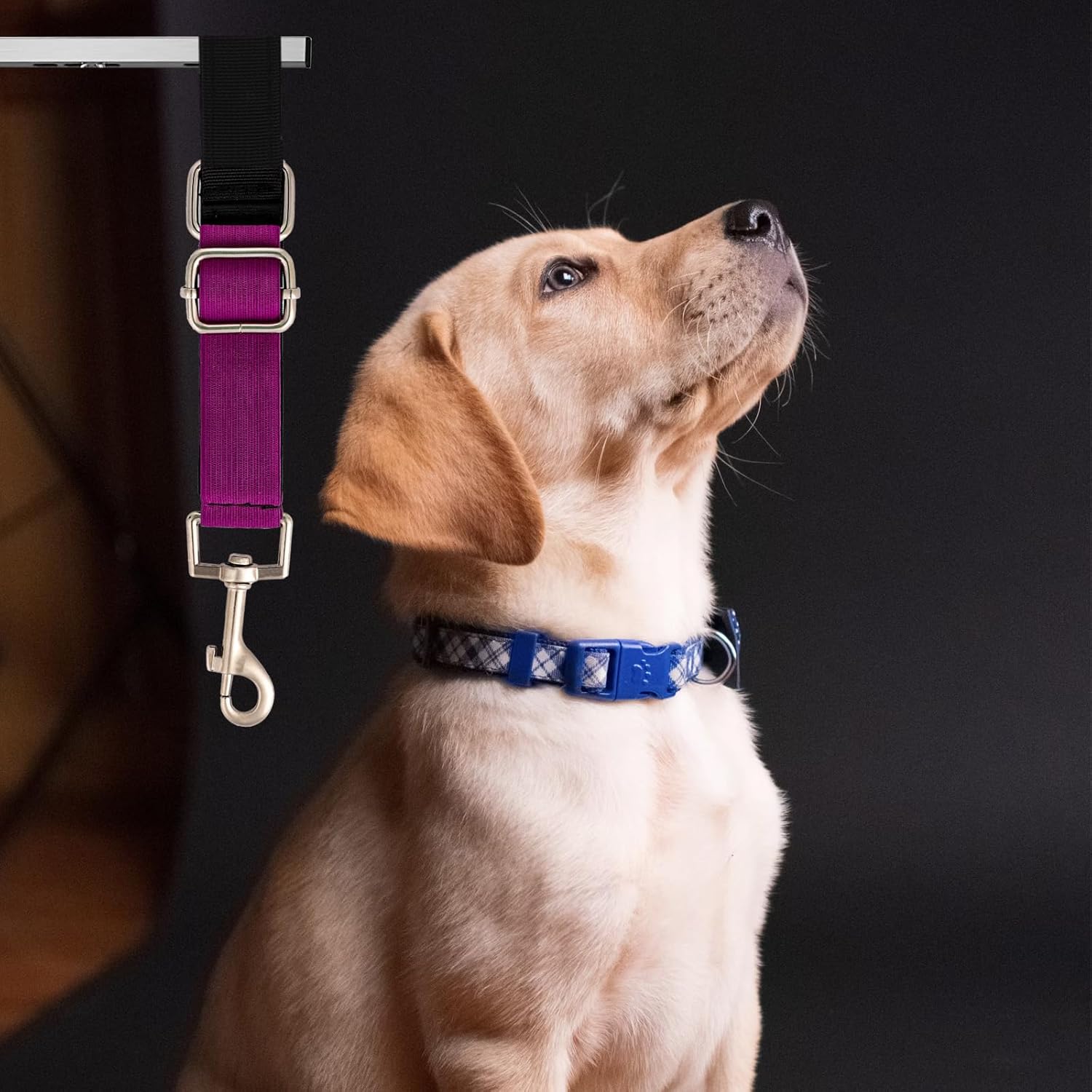 2 correas extensoras de aseo para perros, correa de nailon para aseo de perros, extensión de bucle de aseo resistente, correas ajustables para aseo