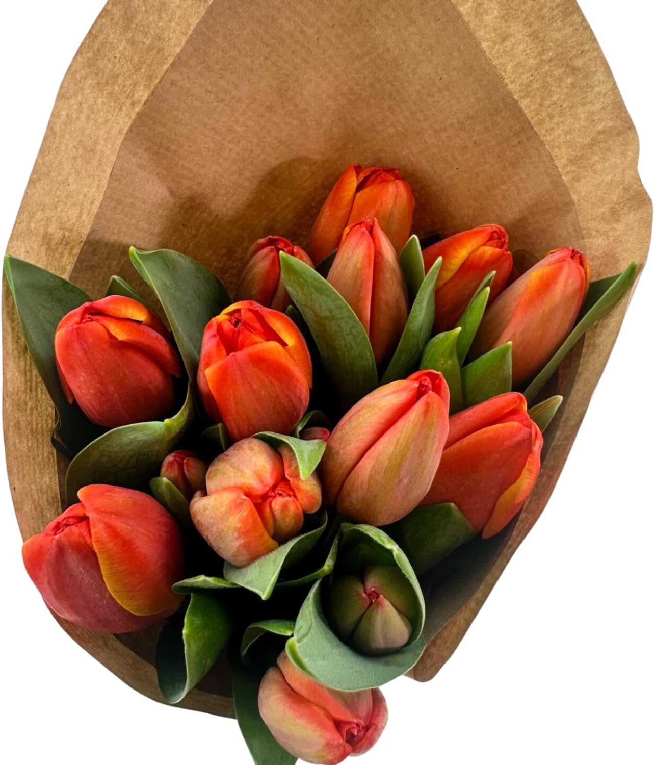 Stargazer Barn 15 tulipanes de especias de calabaza con jarrón ramo de flores frescas, entrega Prime durante la noche, directo a la granja, regalo