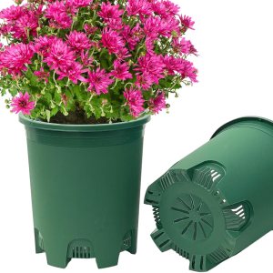 Paquete de 10 macetas verdes de plástico negro de 5 galones con drenaje para plantas grandes en interiores y exteriores Paquete de 10 macetas verdes de plástico negro de 5 galones con drenaje para plantas grandes en interiores y exteriores
