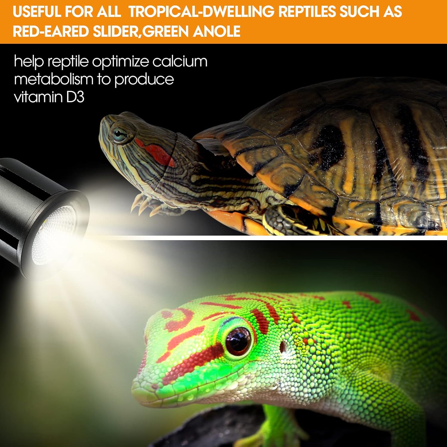 Luz de reptil UVB 5.0 de alta calidad, UVA UVB 3W espectro completo tropical, bombilla UVB para un metabolismo óptimo del calcio, ideal para