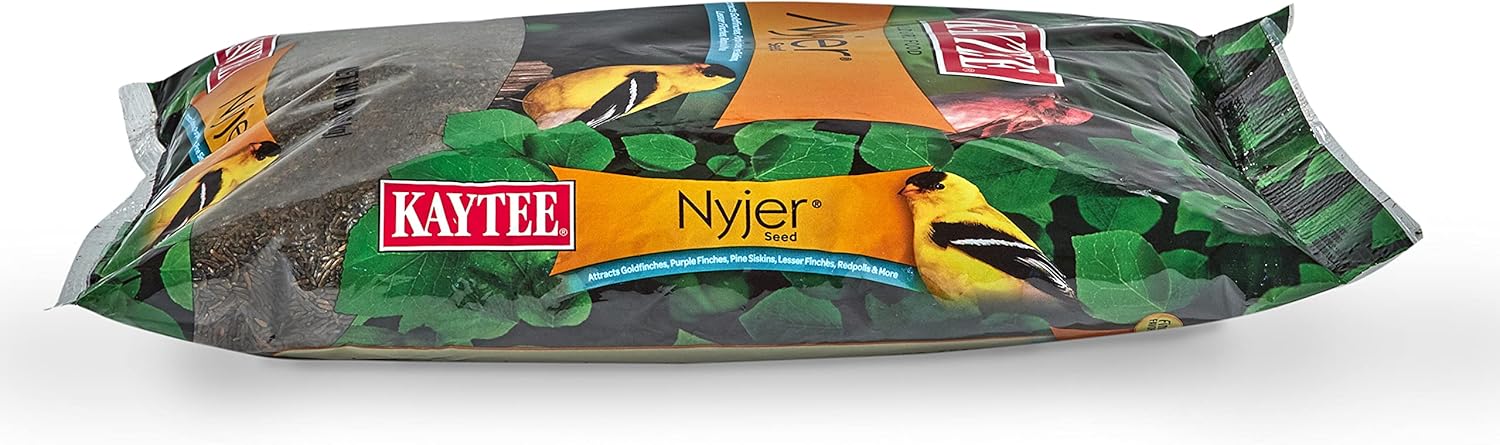 Kaytee Nyjer – Semilla de comida para pájaros silvestres, 3 libras