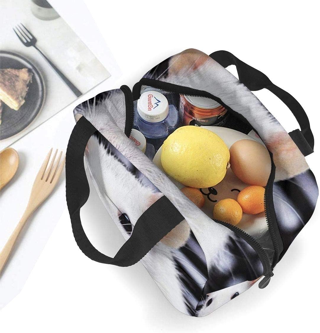 Adorable bolsa de almuerzo aislada con rata blanca para mujeres y hombres, bolsa de almuerzo reutilizable con bolsillo frontal