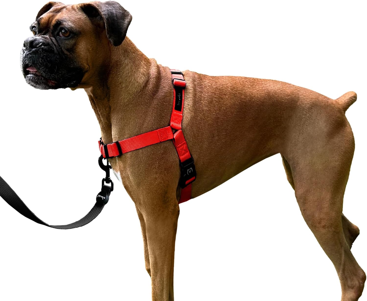 ShawnCo Dream Walk – Arnés para perro sin tirones, ajustable, cómodo, fácil de usar, para ayudar a dejar de tirar, para perros pequeños, medianos y