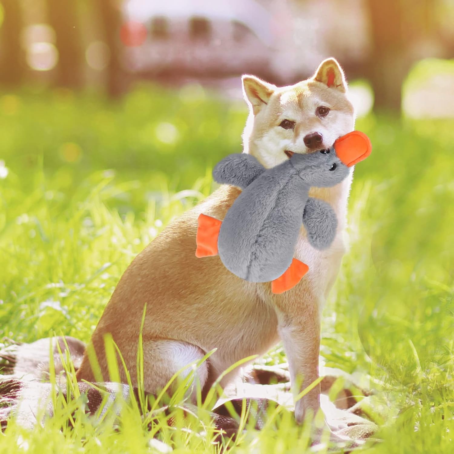 EXPAWLORER Juguete de peluche chirriante para perro, lindo pato de peluche suave, el mejor regalo de cumpleaños, juguetes interactivos para masticar