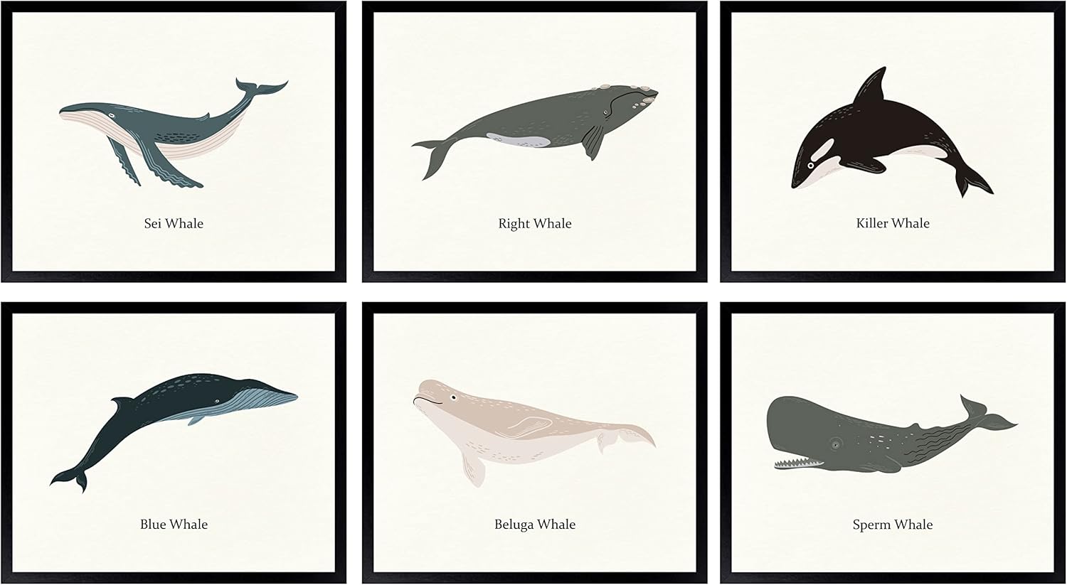 97 Decor Póster vintage de ballena  Decoración de ballena para guardería, arte de pared con estampado de ballena, imágenes de ballena Beluga para