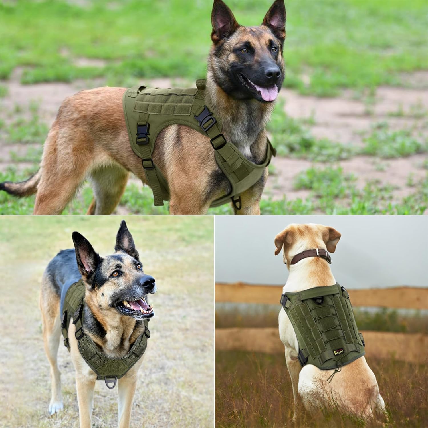 Plutus Pet Arnés táctico para perro con hebillas de metal, ajustable, chaleco para perro de servicio sin tirones con sistema Molle para perros