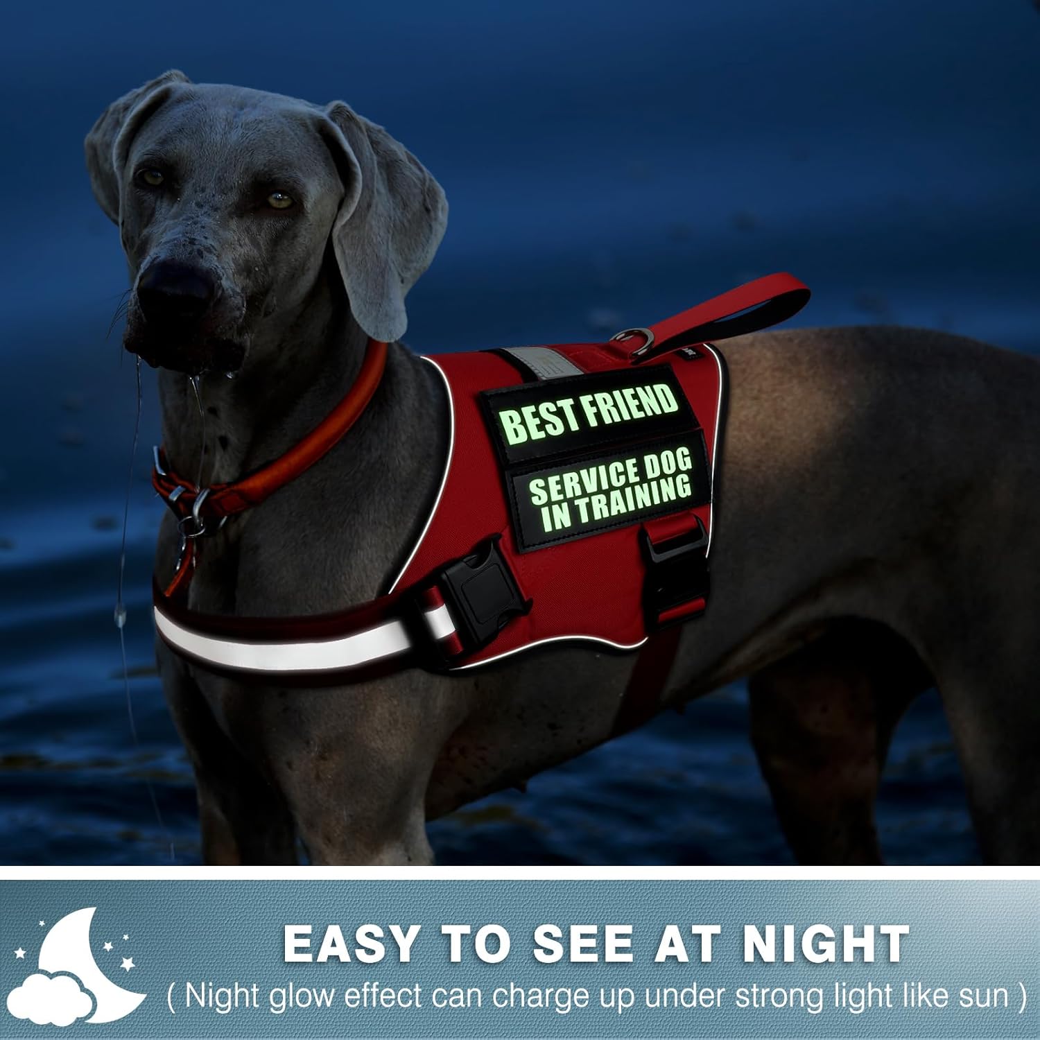 WINSEE Parches reflectantes para perros de servicio en parche de entrenamiento para chaleco de servicio para arnés para perro (paquete de 10, L)