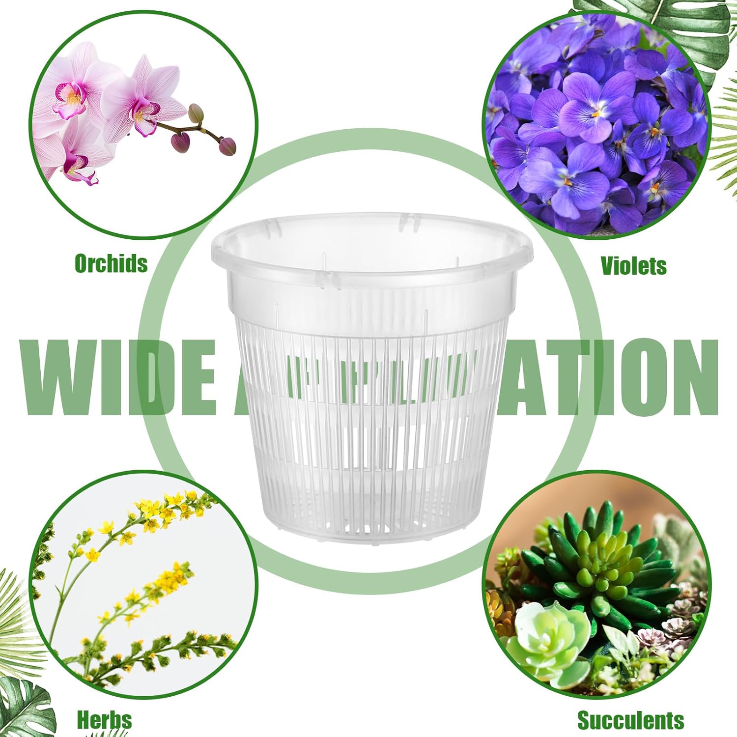Zhehao 30 macetas de orquídeas con agujeros y platillos, macetas de plástico transparente para trasplantar, maceta de plástico transpirable para