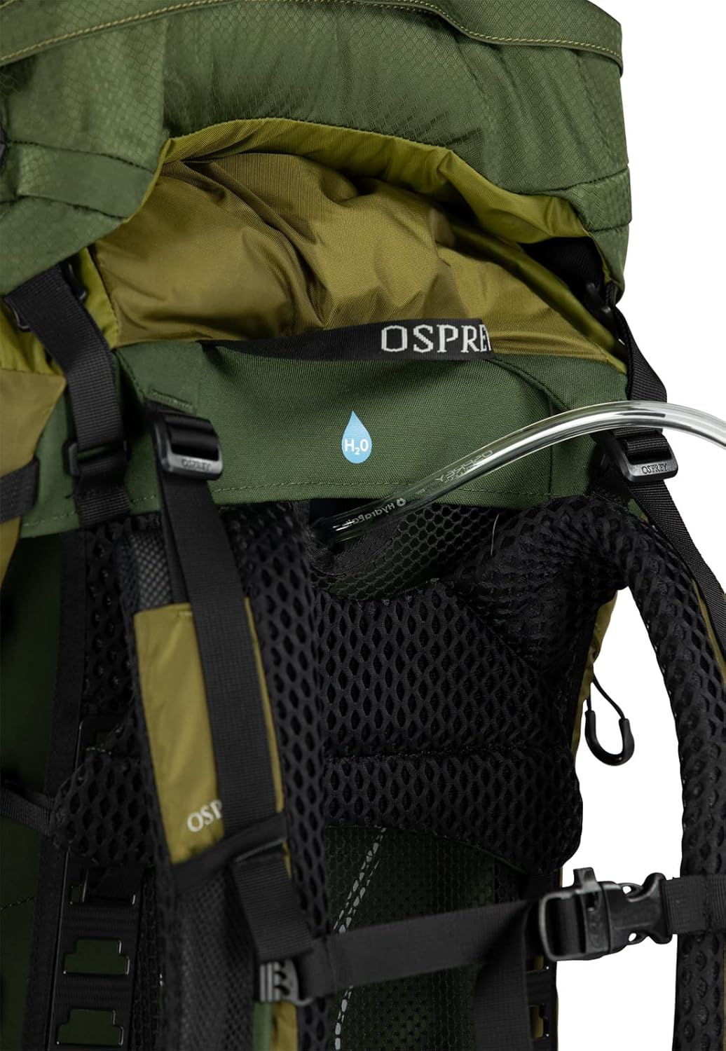Osprey Atmos AG LT 50L Mochila de mochilero para hombre, Scenic ValleyVerde Peppercorn, LXL