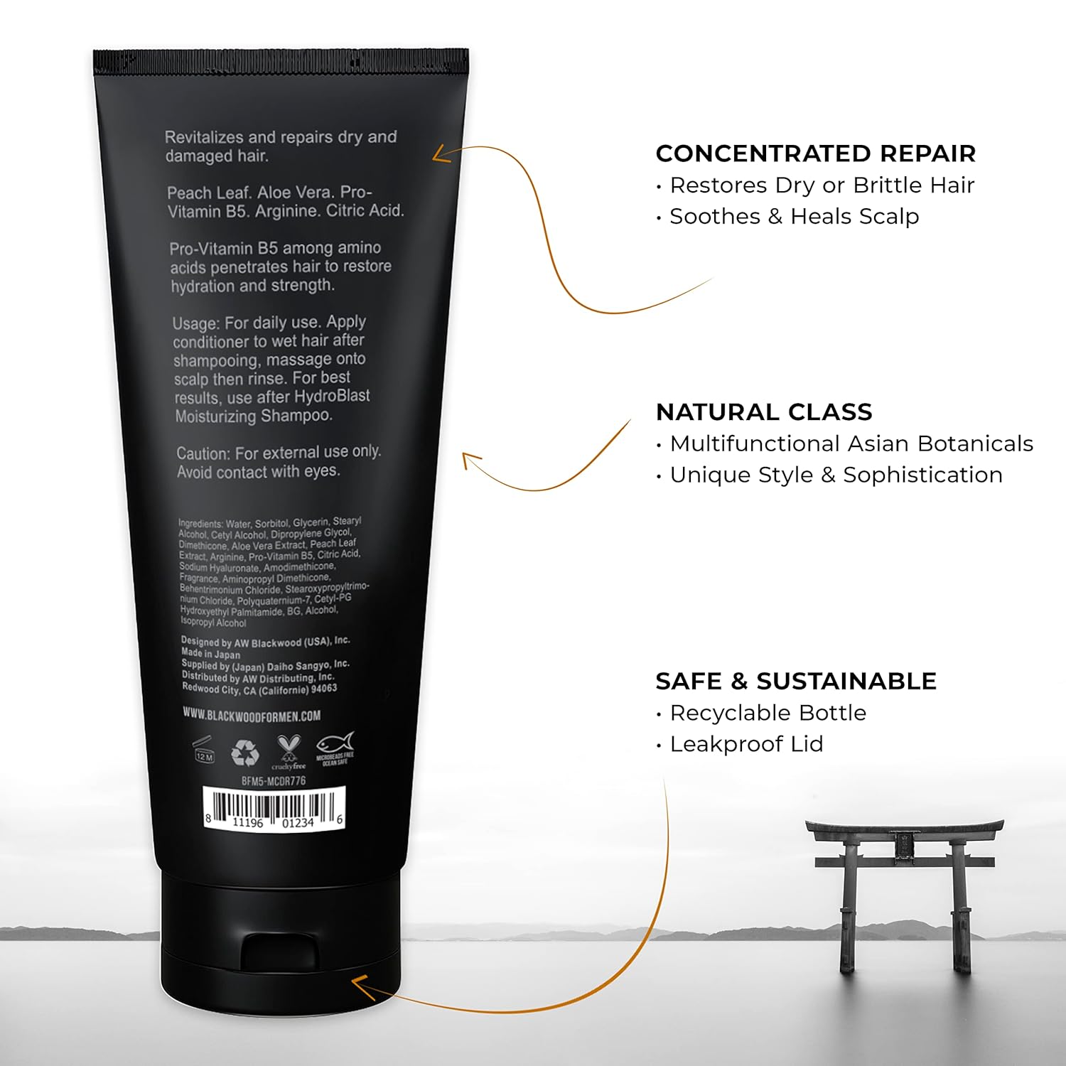 BLACKWOOD FOR MEN Hydroblast – Champú hidratante (17 onzas) y acondicionador (7.76 onzas), vegano y natural para cabello rizado y grueso, sin