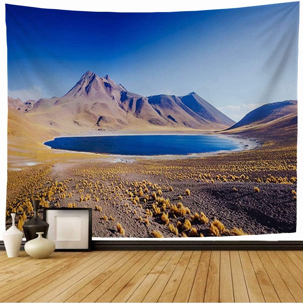 Starocha Tapestry in Travel Amazing Lake Rocky Miscanti Highlands High Place Atacama Chile Near Nature Parks Outdoor Wall Tapestry Beach Tapestry