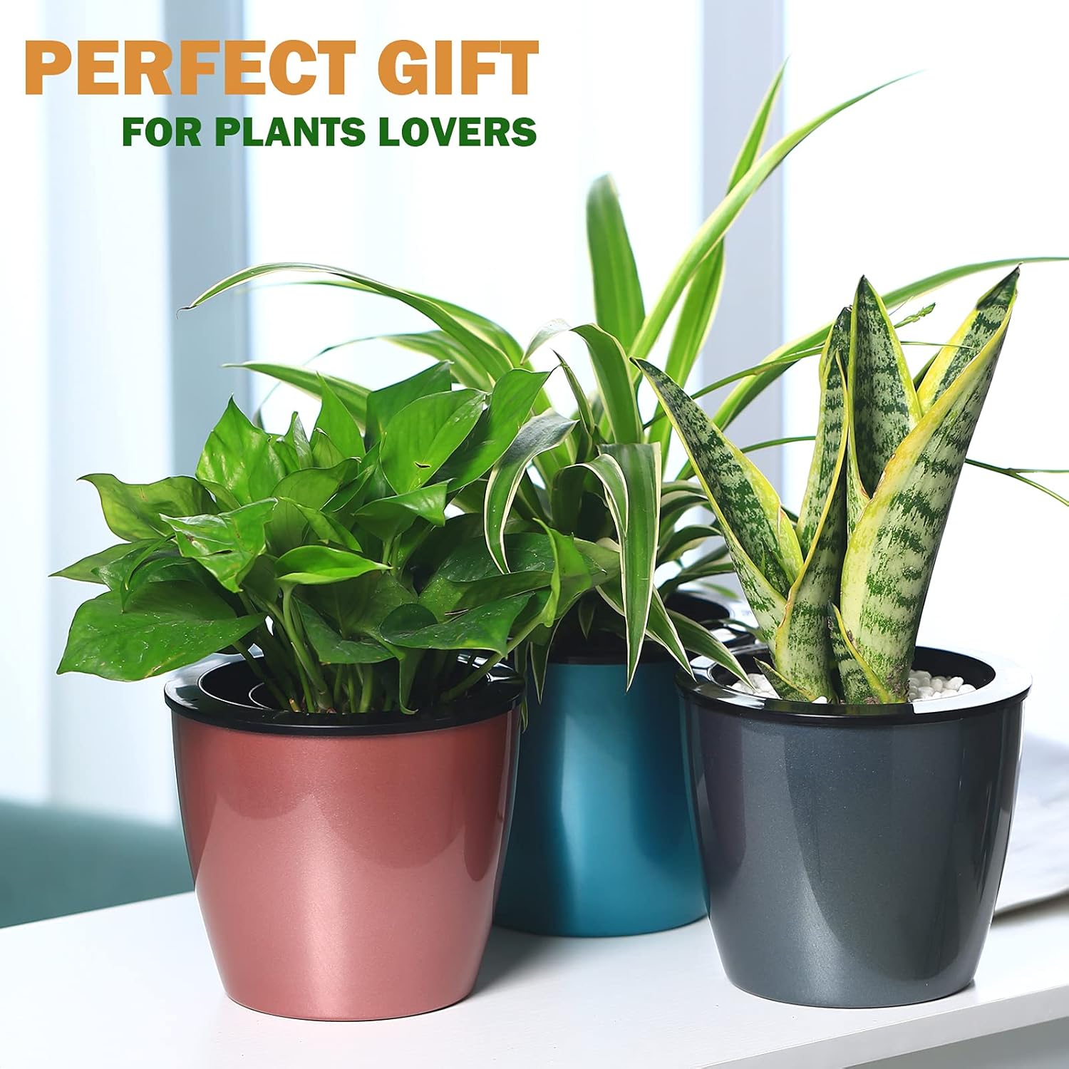 Planterhoma Paquete de 5 macetas de riego automático prémium para plantas de interior, oro rosa, 6.7 pulgadas