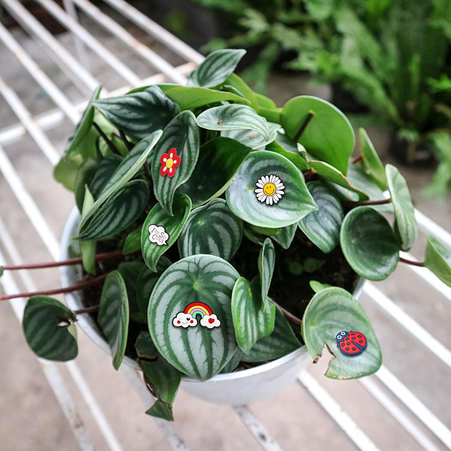 10 imanes para plantas en maceta, ojos magnéticos, abejas, arco iris, decoración facial para plantas, regalo divertido para amantes de las plantas,