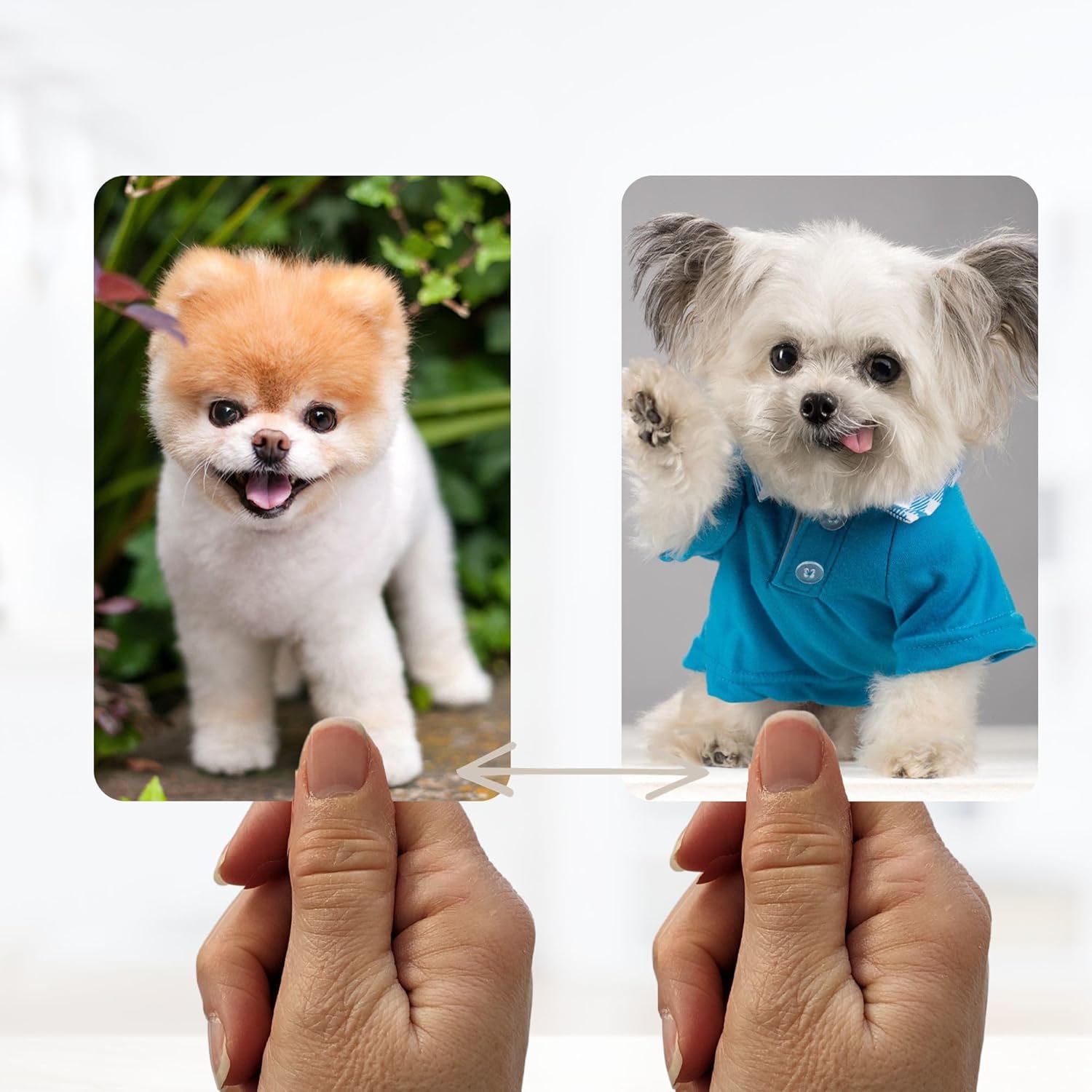 3dreactions Foto lenticular personalizada Flip Picture FLOTO, volteando imágenes hechas a medida de tus fotos pasan de una imagen a otra mientras la