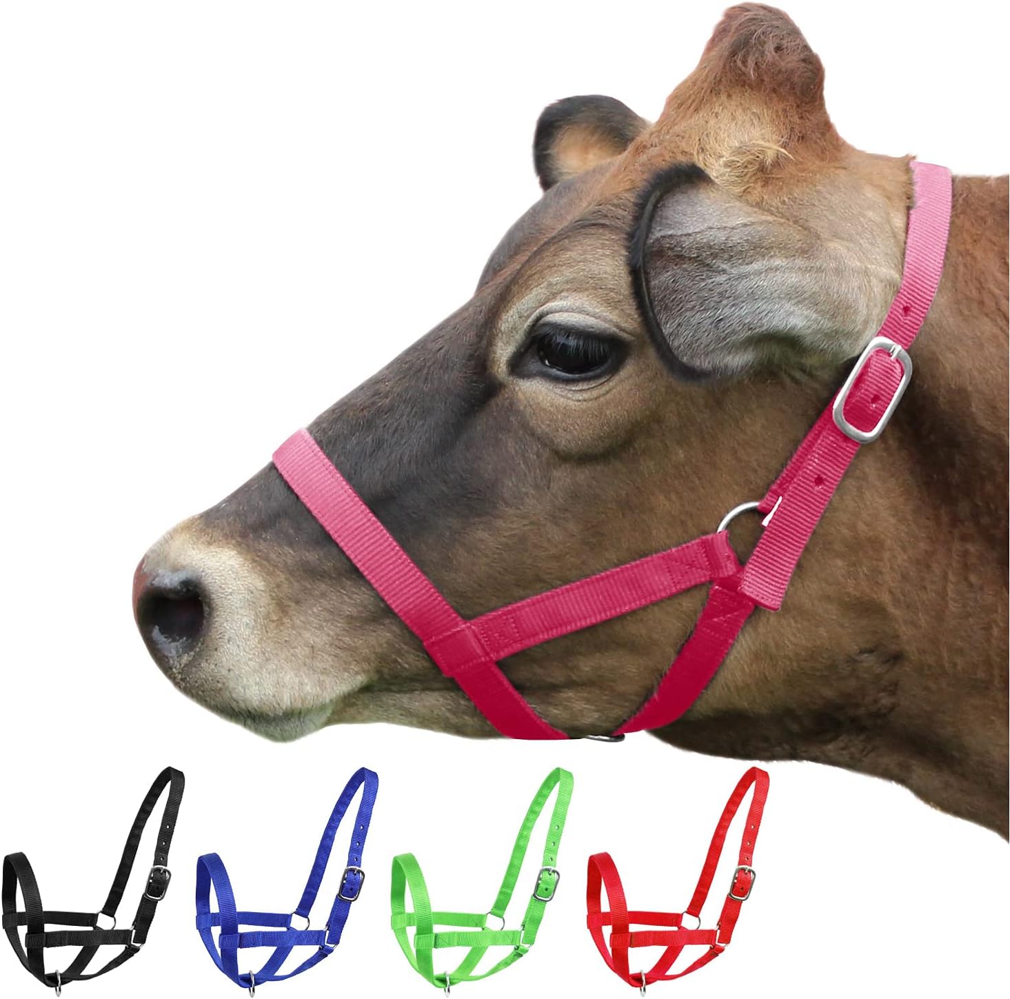 Derby Originals Cabestros ajustables de nylon para ganado