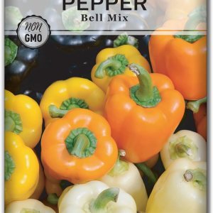 Sow Right Seeds – Semillas de pimiento morrón Rainbow Mix para plantar – Paquete de reliquia sin OMG con instrucciones para plantar y cultivar un Sow Right Seeds – Semillas de pimiento morrón Rainbow Mix para plantar – Paquete de reliquia sin OMG con instrucciones para plantar y cultivar un