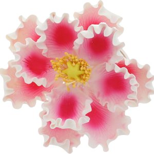 Global Sugar Art Flores de pastel de azúcar de peonía rosa con blanco de lujo, 1 unidad por el chef Alan Tetreault Global Sugar Art Flores de pastel de azúcar de peonía rosa con blanco de lujo, 1 unidad por el chef Alan Tetreault