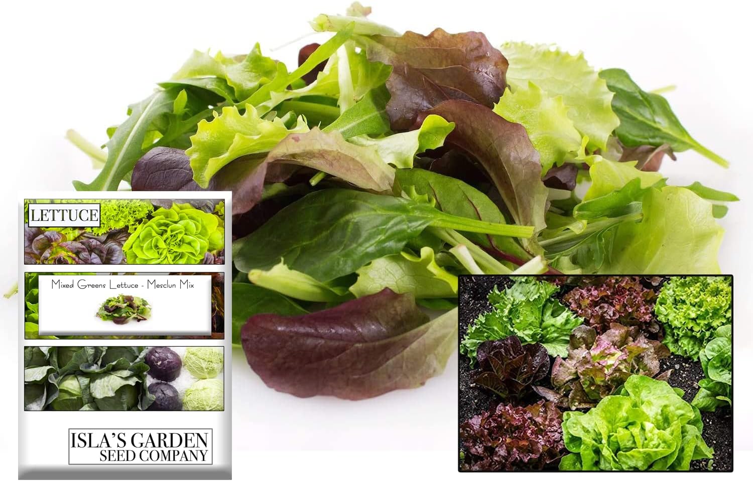 Mezcla variada de semillas de lechuga verde mixta, mezcla de mesclun), más de 500 semillas tradicionales por paquete, semillas de jardín de Isla