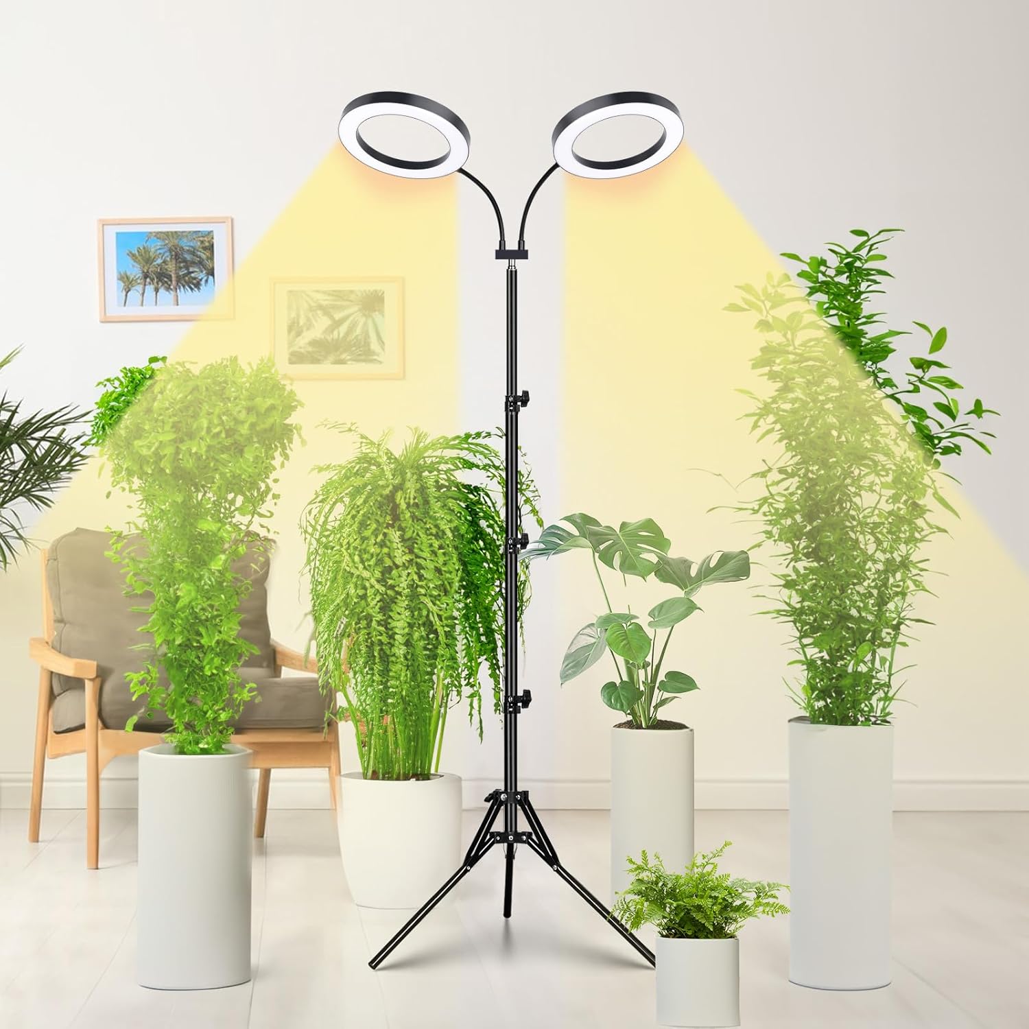 LORDEM Luz de cultivo para plantas de interior, luz de planta de doble cabezal para plantas de crecimiento, lámpara de crecimiento de espectro