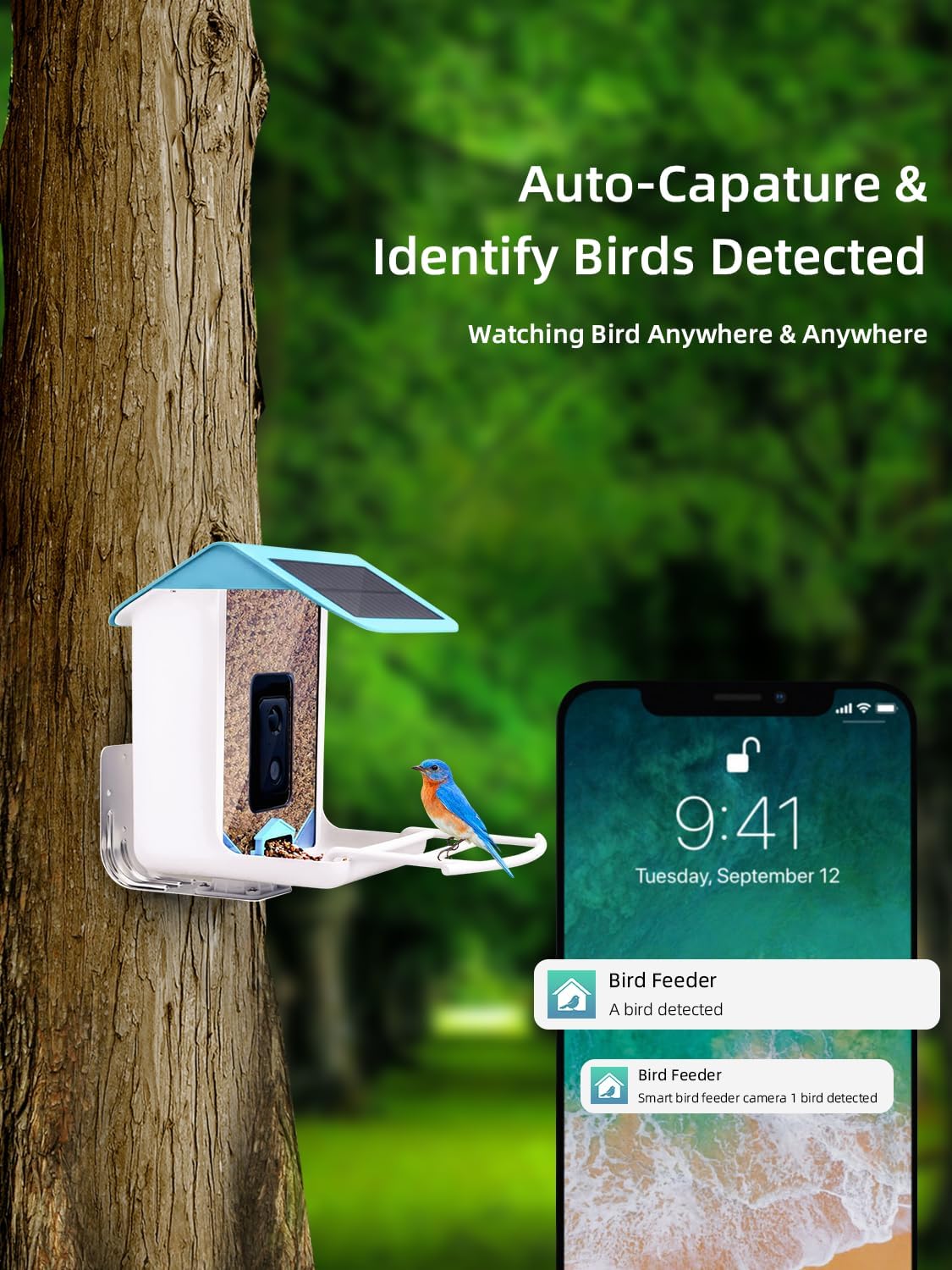 Comedero para pájaros con cámara, alimentador de video para pájaros con reconocimiento AI, notificación automática detectada de aves, conexión WiFi