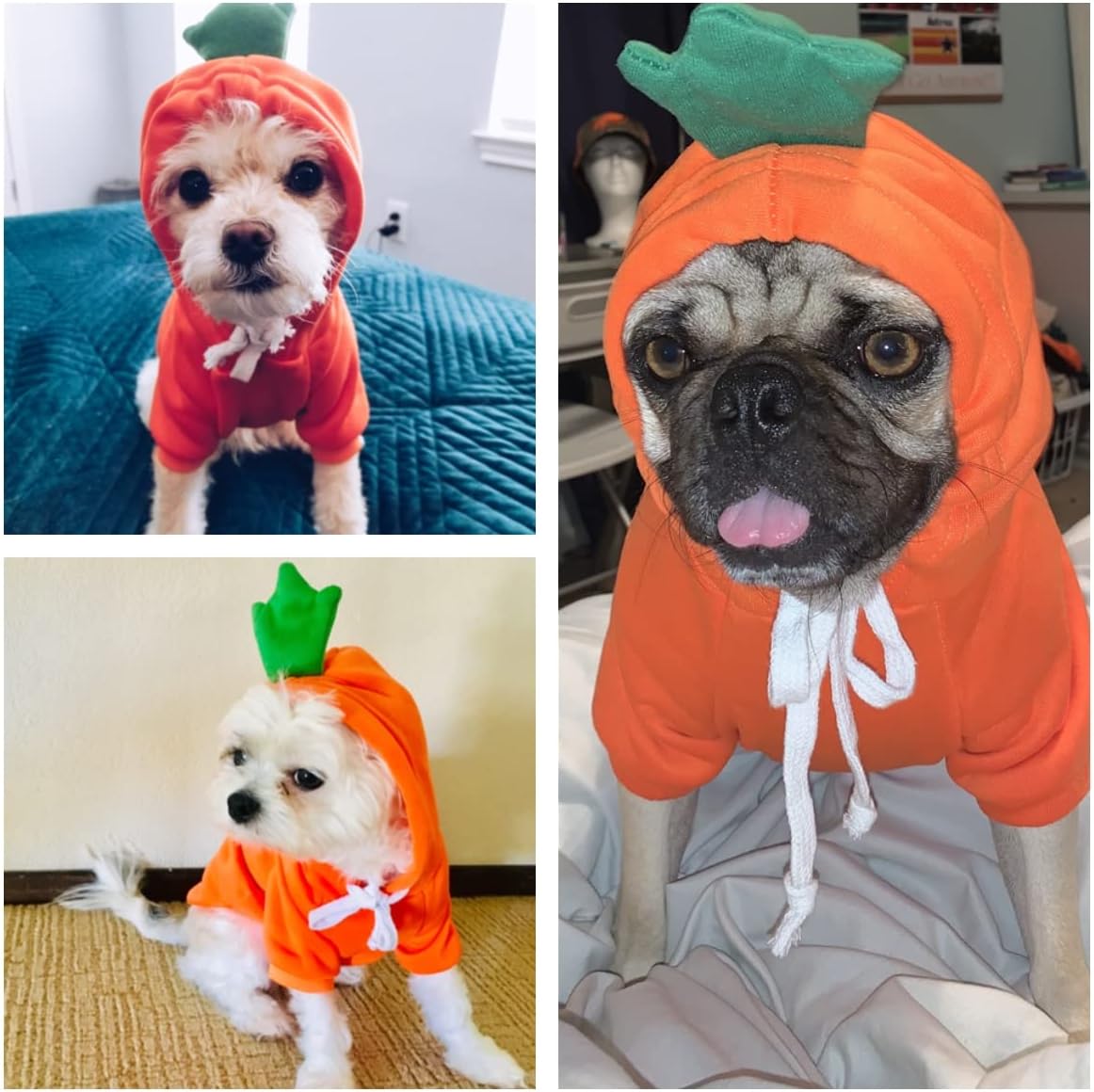 Disfraces de Navidad para perros, Halloween, sudaderas con capucha para perros pequeños, gatos, trajes de cachorro de gato, ropa Yorkie Chihuahua