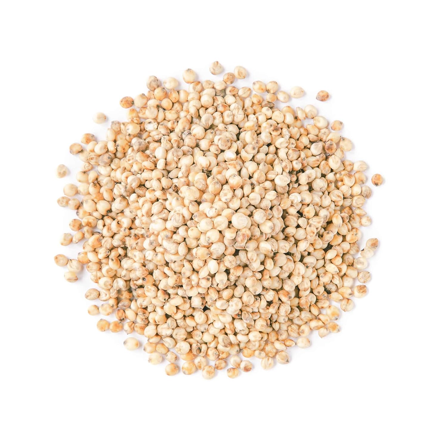 Food to Live Sorgo de grano entero, 6 libras, granos blancos de primera calidad. Semillas milo crudas. Vegano, escoba de maíz a granel. Durra es