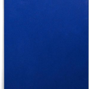 Staples 578490 – Carpeta de bolsillo de grado escolar con 2 unidades, color azul 25caja Staples 578490 – Carpeta de bolsillo de grado escolar con 2 unidades, color azul 25caja