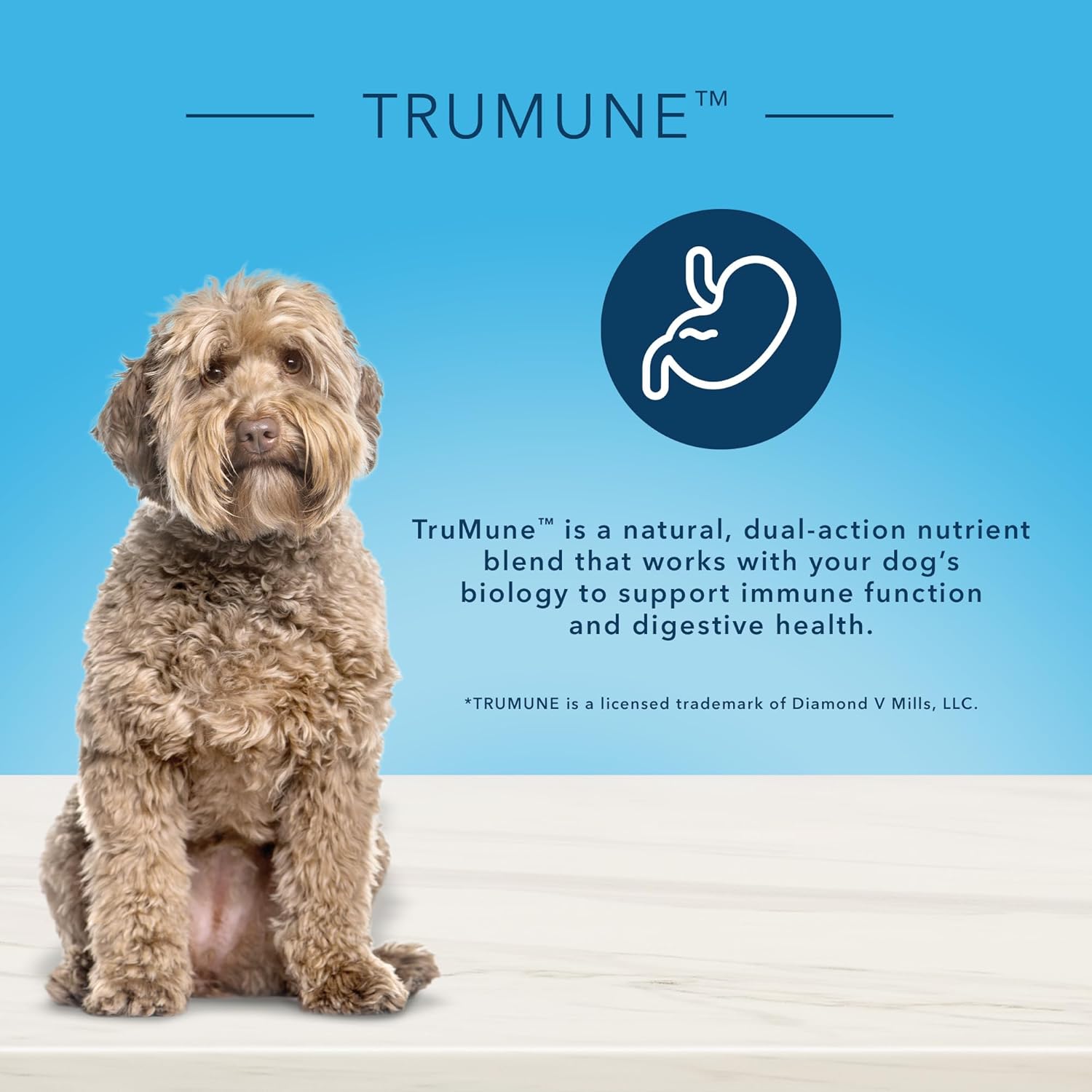 Blue Buffalo True Solutions Best Life – Alimento seco natural para perros adultos de raza media, pollo, 11 libras