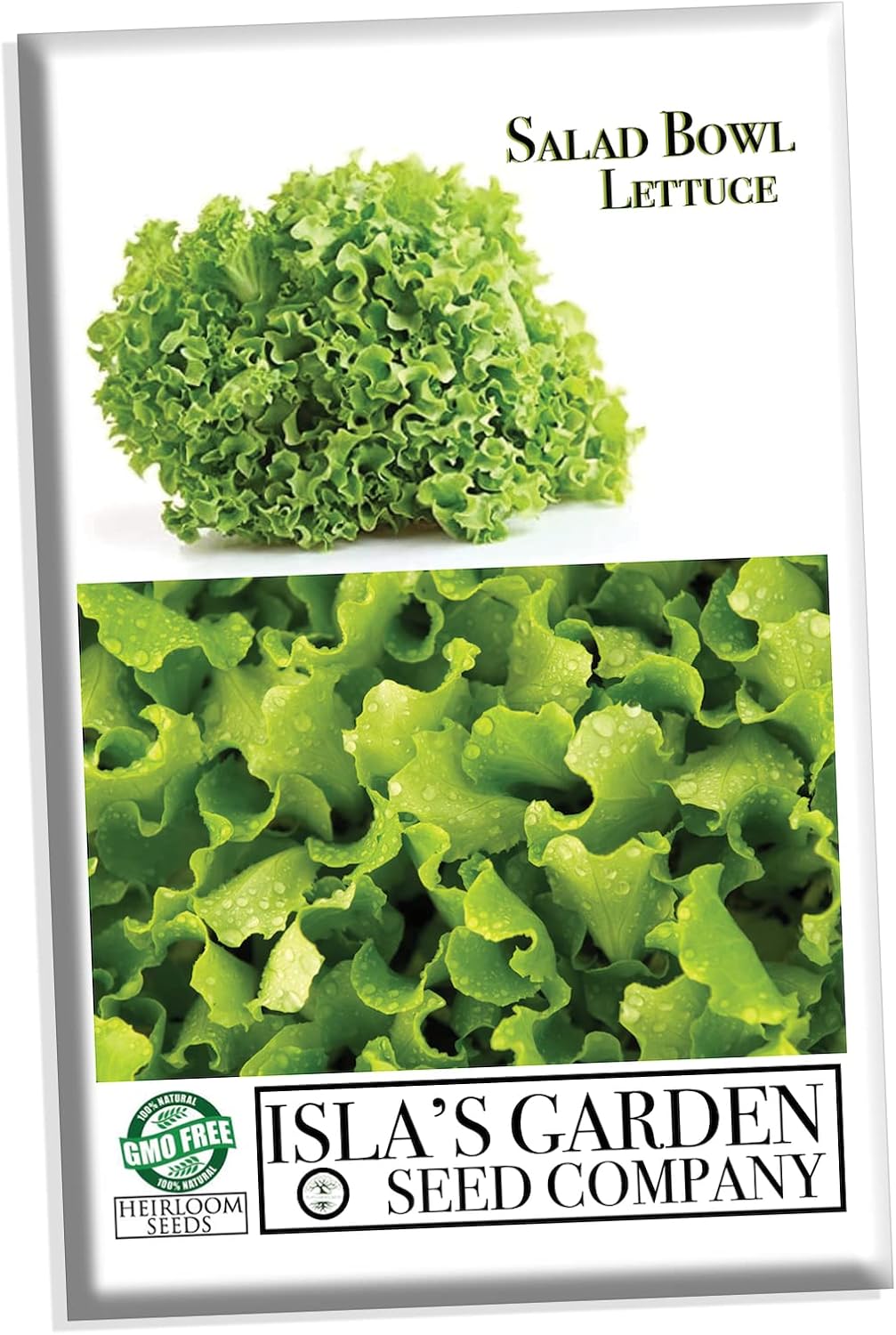 Semillas de lechuga para plantar, más de 1000 semillas de reliquia por paquete, semillas de jardín de Isla (semillas de jardín de Isla), semillas